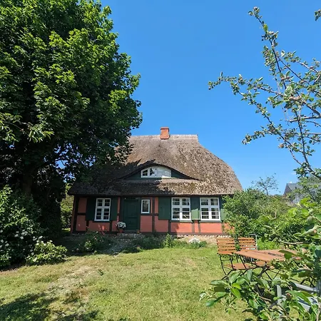 Darsshaus Prázdninový dům